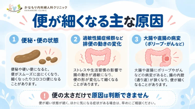 便秘や便の状態、過敏性腸症候群、大腸や直腸の病変によって便が細くなる原因を3つに分けて説明した図解